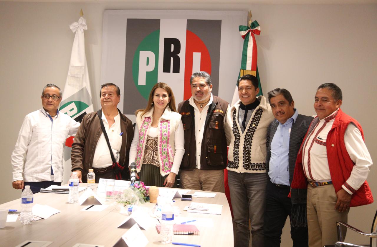 PONER EN EL CENTRO DE LA AGENDA LAS CAUSAS DE LOS PUEBLOS Y GRUPOS INDÍGENAS, OBJETIVO DEL PRI: CAROLINA VIGGIANO