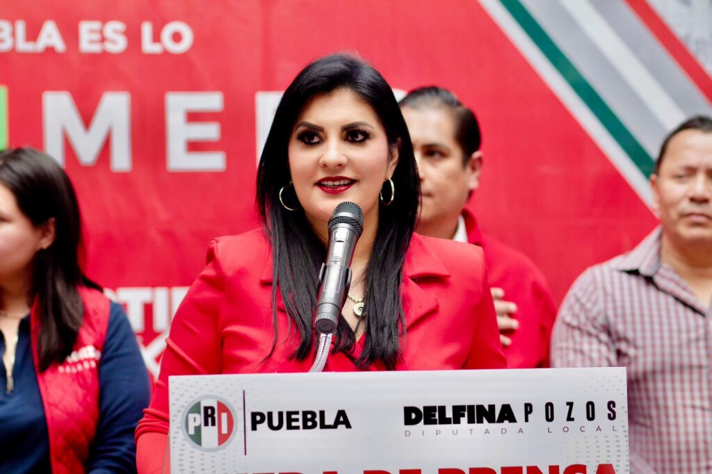 INSEGURIDAD Y FALTA DE SERVICIOS PÚBLICOS AFECTAN A PUEBLA: PRI