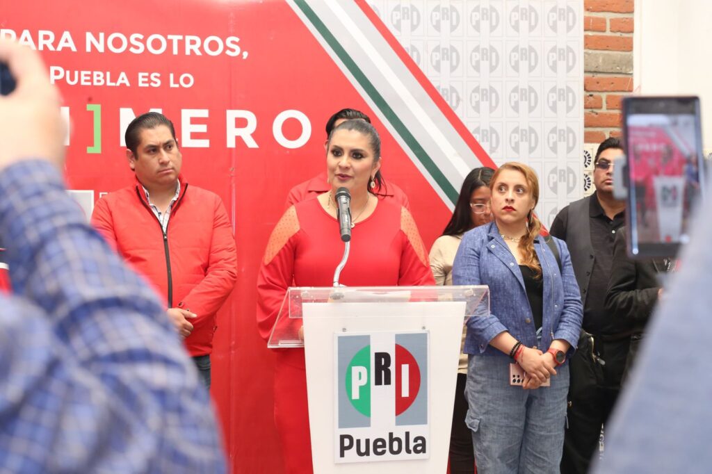 SE LOS DIJE: LEY CIBERASEDIO FUE UN ERROR, VULNERA LA LIBERTAD DE EXPRESIÓN: DELFINA POZOS