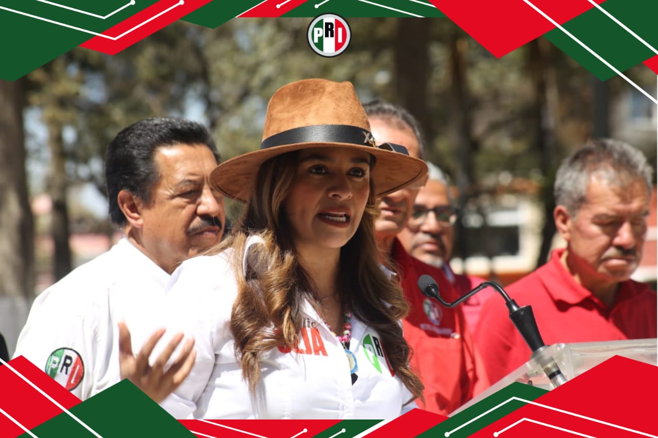 GOBIERNO DE MORENA DEBE ASUMIR SU RESPONSABILIDAD ANTE LA VIOLENCIA: XITLALIC CEJA