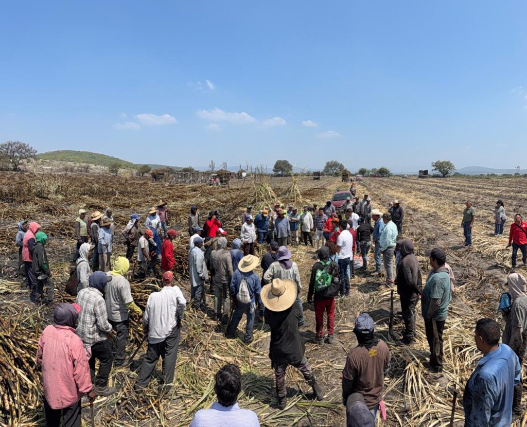 PRI PUEBLA MANTIENE CERCANÍA CON EL SECTOR CAMPESINO: XITLALIC CEJA