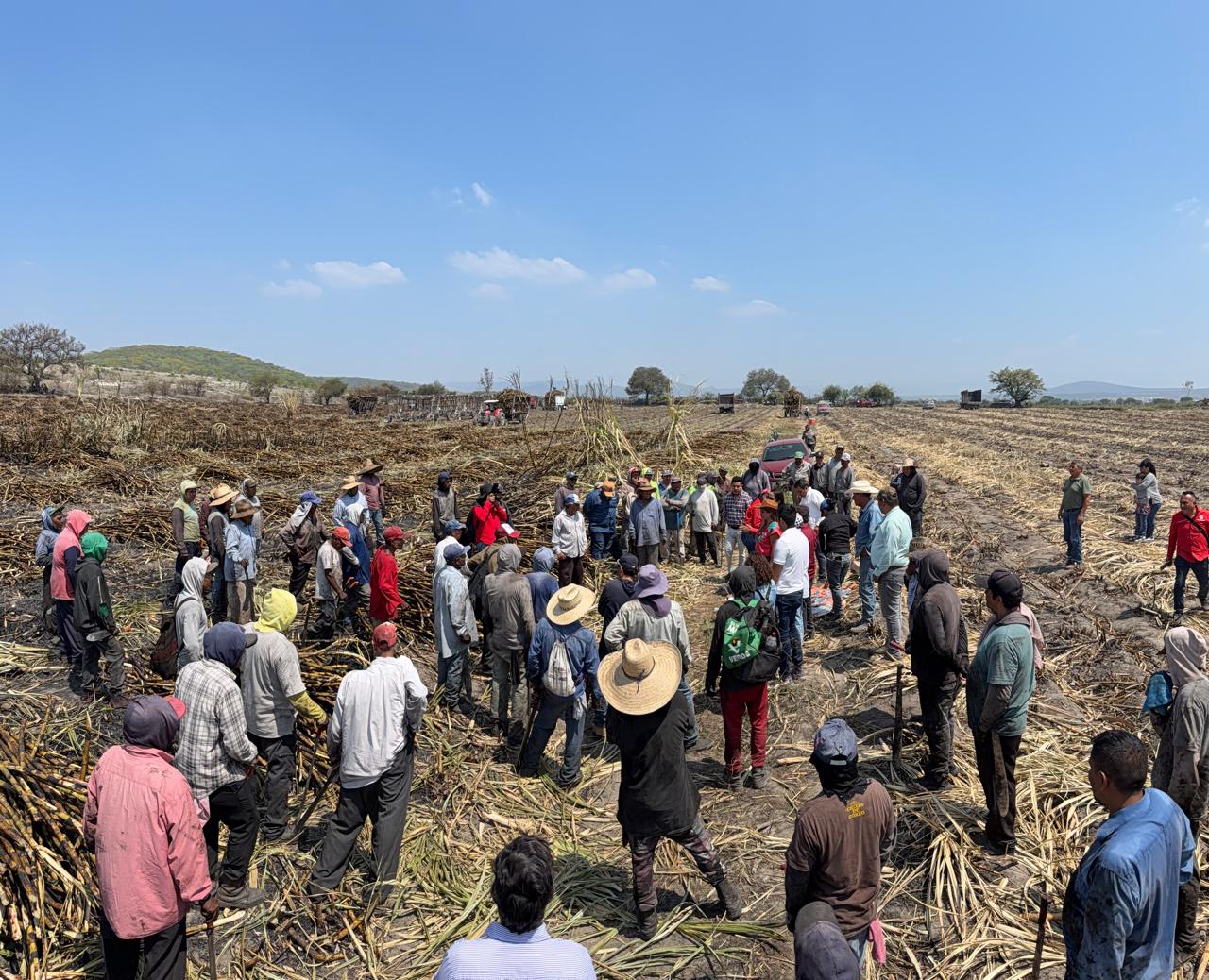 PRI PUEBLA MANTIENE CERCANÍA CON EL SECTOR CAMPESINO: XITLALIC CEJA
